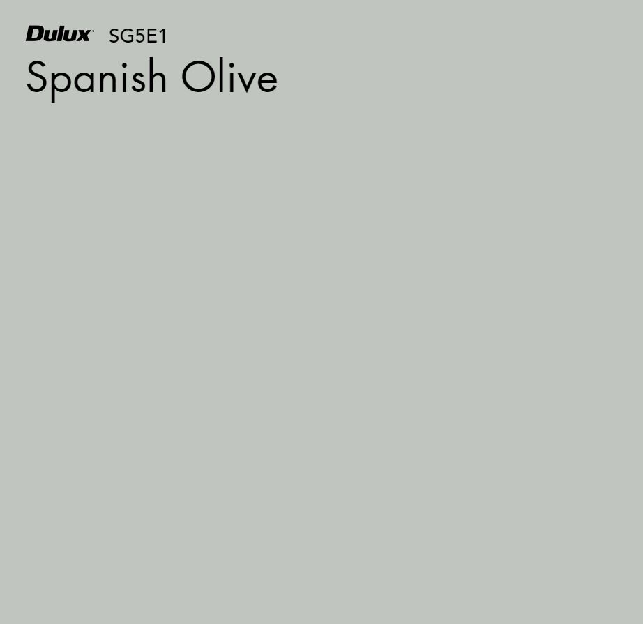 Spanish Olive by Dulux Style Sourcebook
