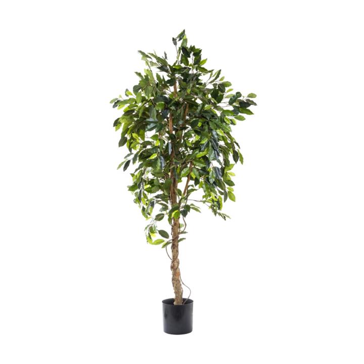 Potted Artificial Ficus Vine Tree, 180cm by Florabelle Style Sourcebook