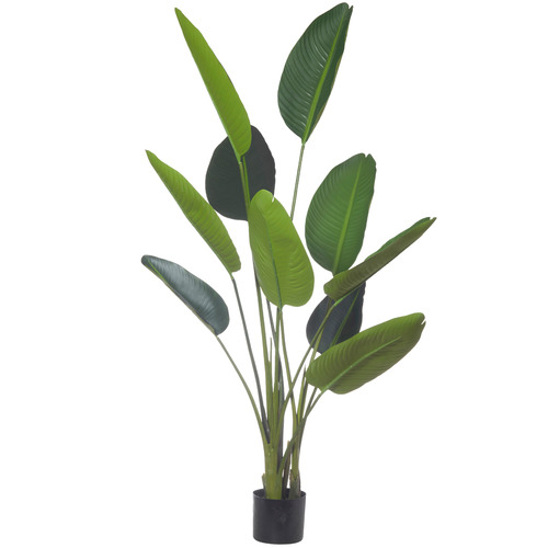 152cm Giant Potted Faux Bird Of Paradise Plant by Temple & ster