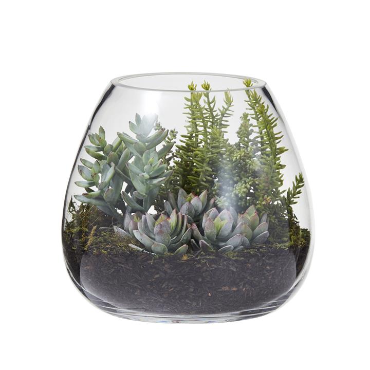 Artificial Succulent Garden in Garden Glass Vase by Rogue Style
