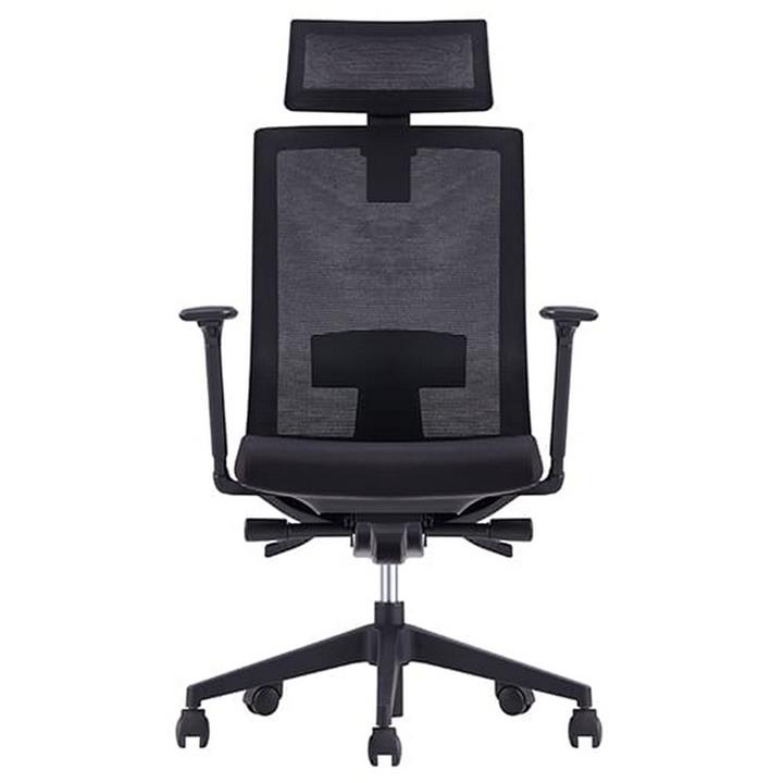 Kube Fabric Executive Office Chair with Headrest by Style Ergonomics