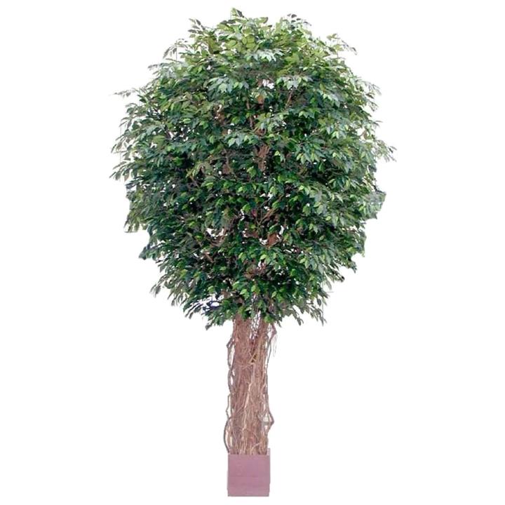Giant Artificial Ficus Liana Tree, 610cm by Florabelle Style Sourcebook