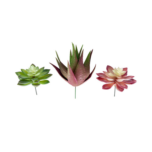3 Piece Faux Succulent Stem Set by Temple & ster Style Sourcebook