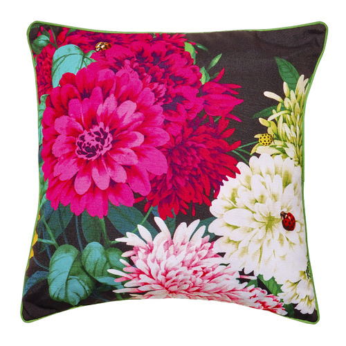 Bella Rosa Black Cushion Feather Filled by Temple & ster Style