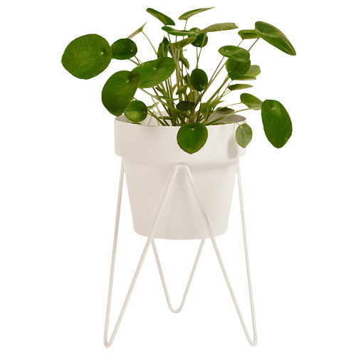 Sprout Metal Plant Stand with Pot Colour White Stand & White Pot by