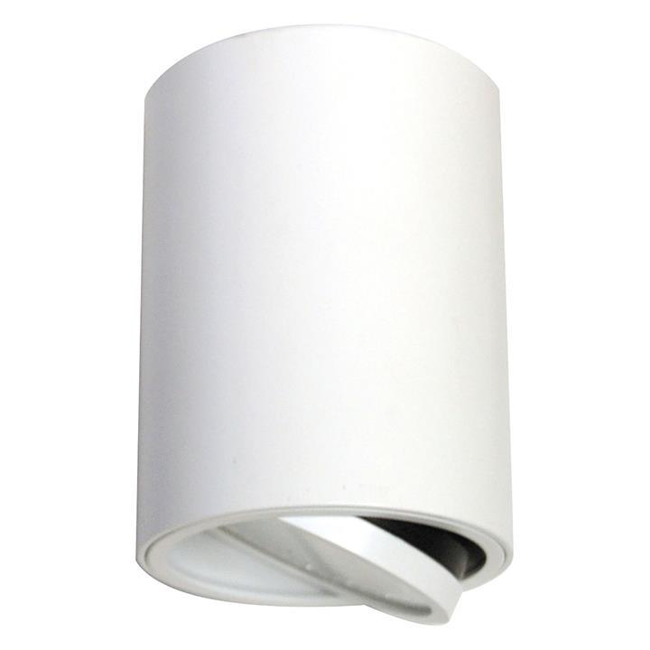 Daro LED Mounted Downlight In White By Telbix By Telbix Style Sourcebook
