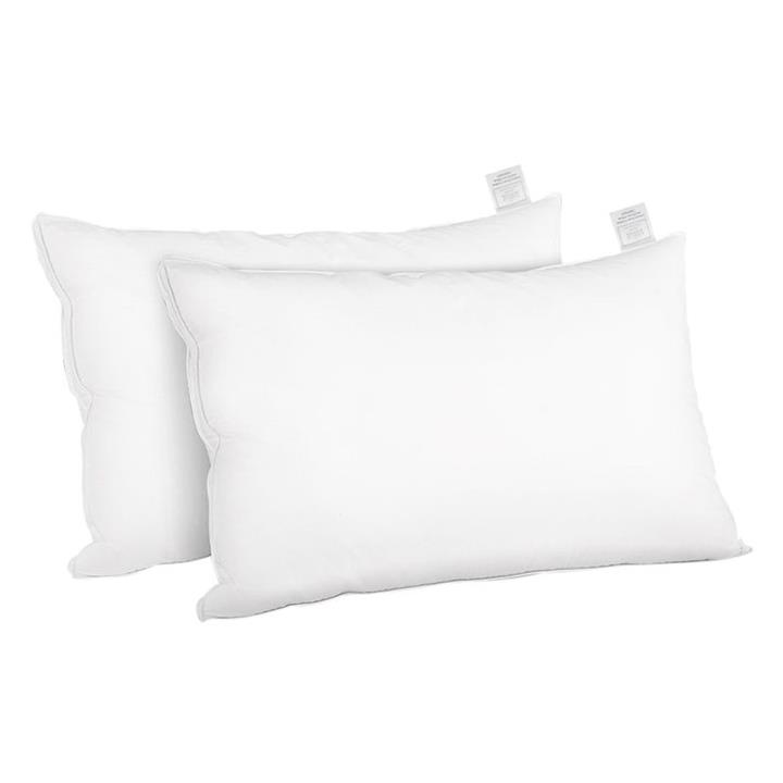 Daphne Set of 2 Cotton & Duck Feather Pillows in White by Giselle