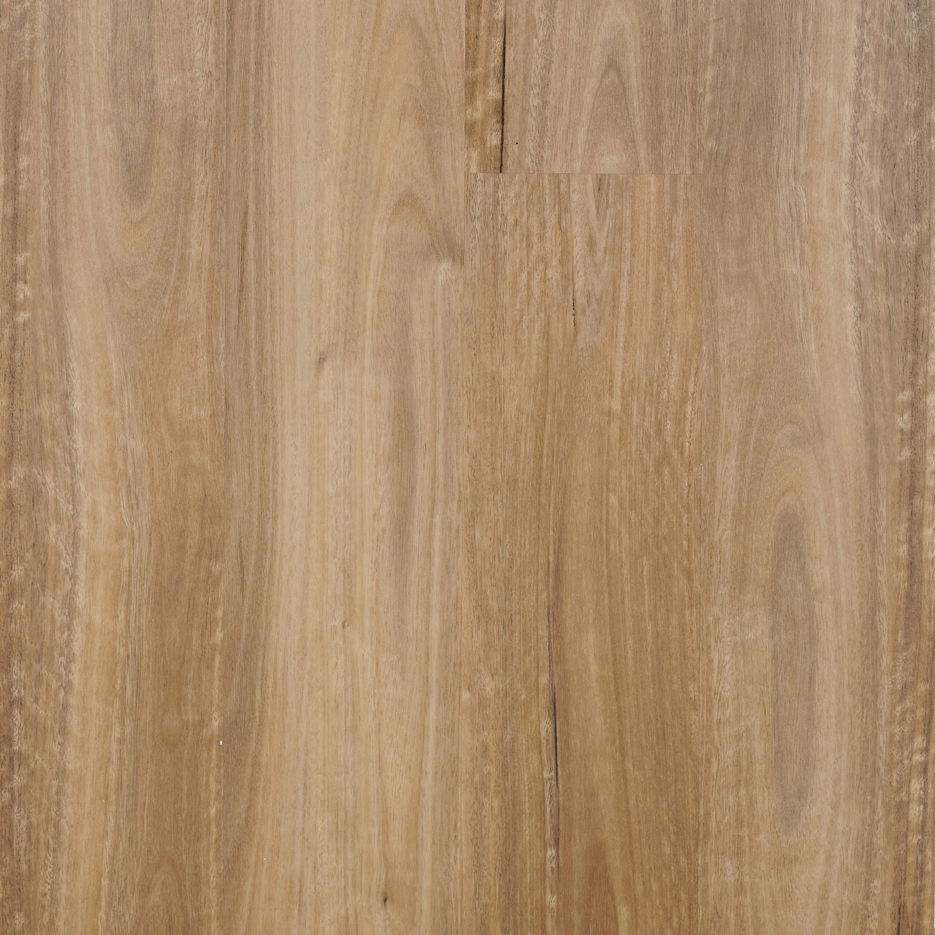 Natural Spotted Gum by Wonderwood Style Sourcebook