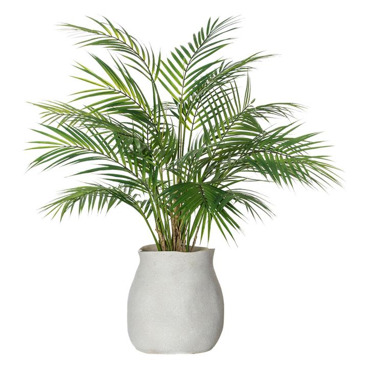 Phoenix Palm in Mahlia Pot (Artificial) in Green by Grand Designs Home