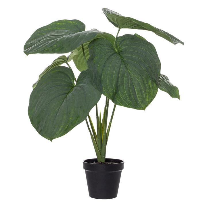 Giant Hosta Plant in Garden Pot (Artificial) in Black by Rogue by Rogue