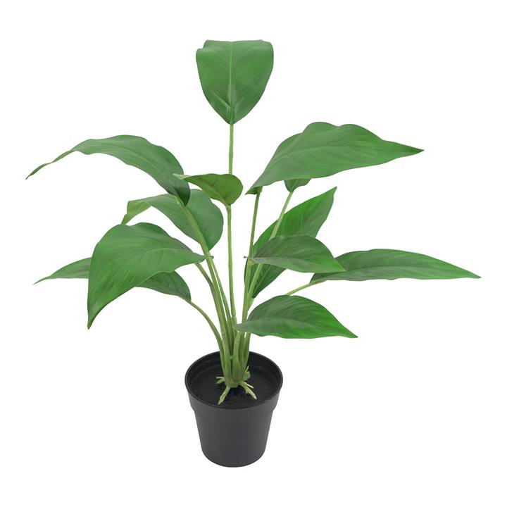 Potted Birds of Paradise Plant (Artificial) in Black by Artisan