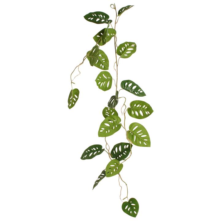 Maine & Crawford Real Touch Artificial Swiss Cheese Vine, 105cm by