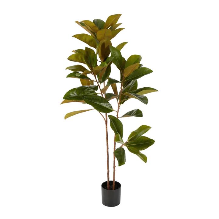 Potted Real Touch Artificial Magnolia Tree, 120cm by Florabelle Style