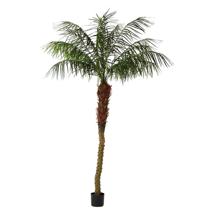 Potted Artificial Phoenix Palm Tree, 240cm by Florabelle Style Sourcebook