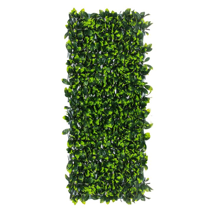 Gardenia Expanding Trellis in Green by Rogue by Rogue Style Sourcebook