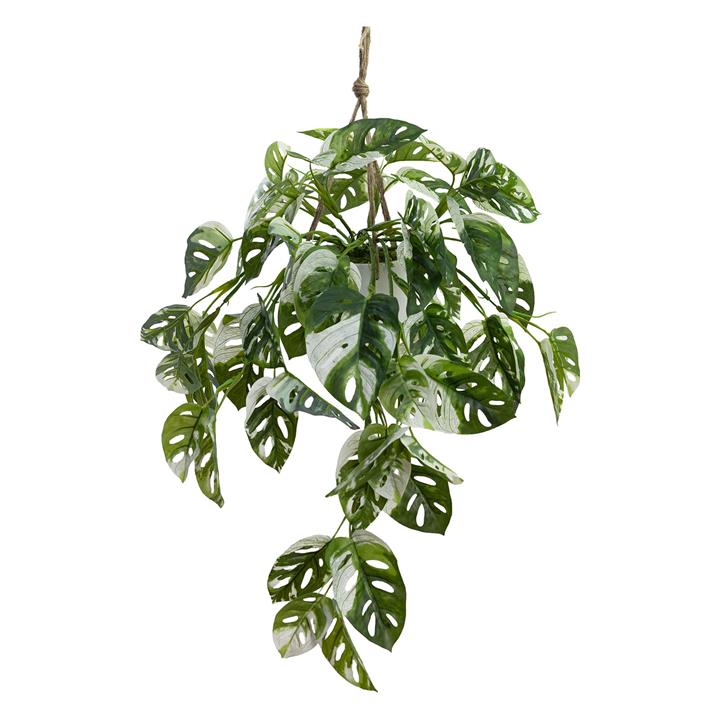 Monstera Bush in Hanging Planter (Artificial) in Green by Glamorous