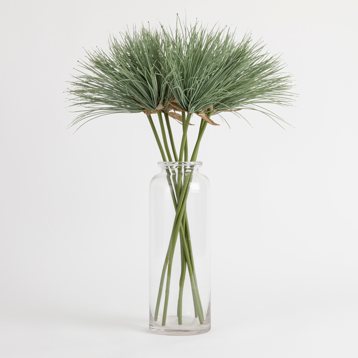 Muse Papyrus Stem Dusty Green Standard Flower / Stem by Muse Style