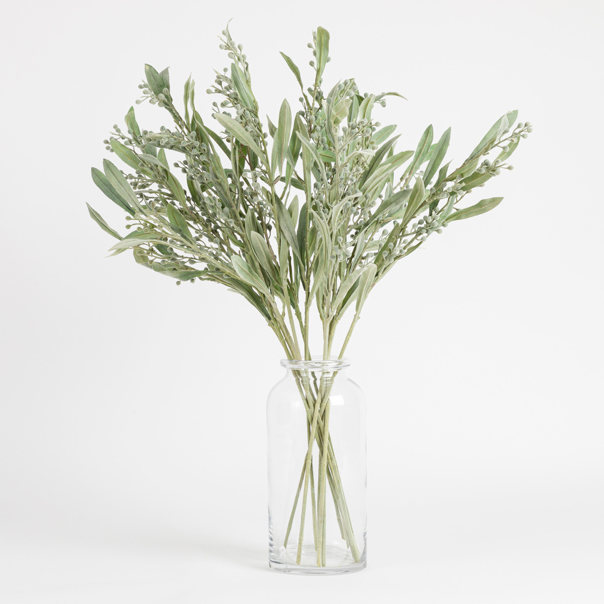 Muse Budding Wattle Stem Dusty Green Standard Flower / Stem by Muse