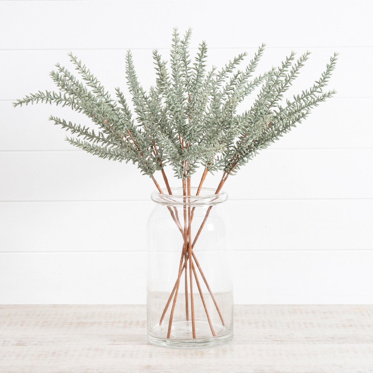 Habitat Sandflower Stem Light Green Standard Flower / Stem by Habitat