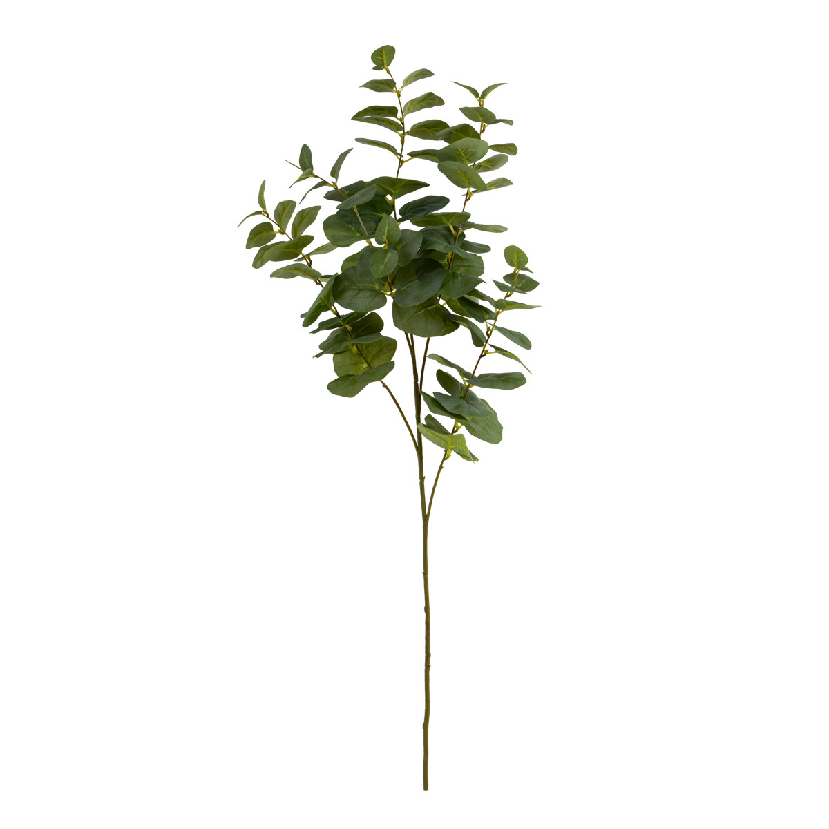 Habitat Eucalyptus Branch Green Standard by Habitat Style Sourcebook