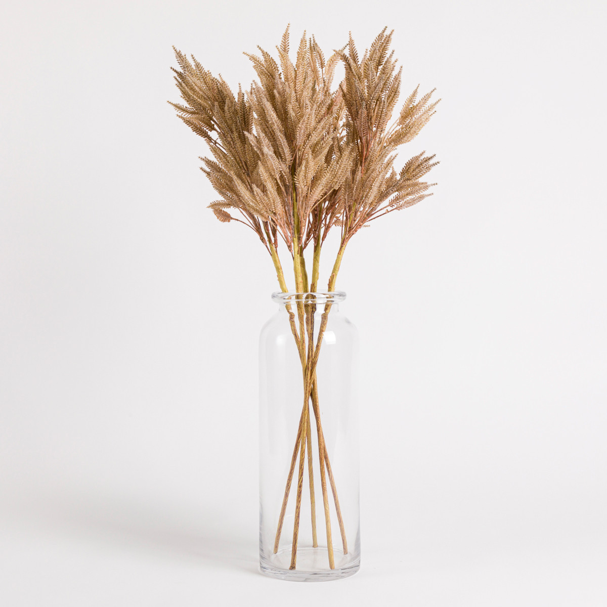 Habitat Dried Reed Flower Stem Brown Standard Flower / Stem by Habitat