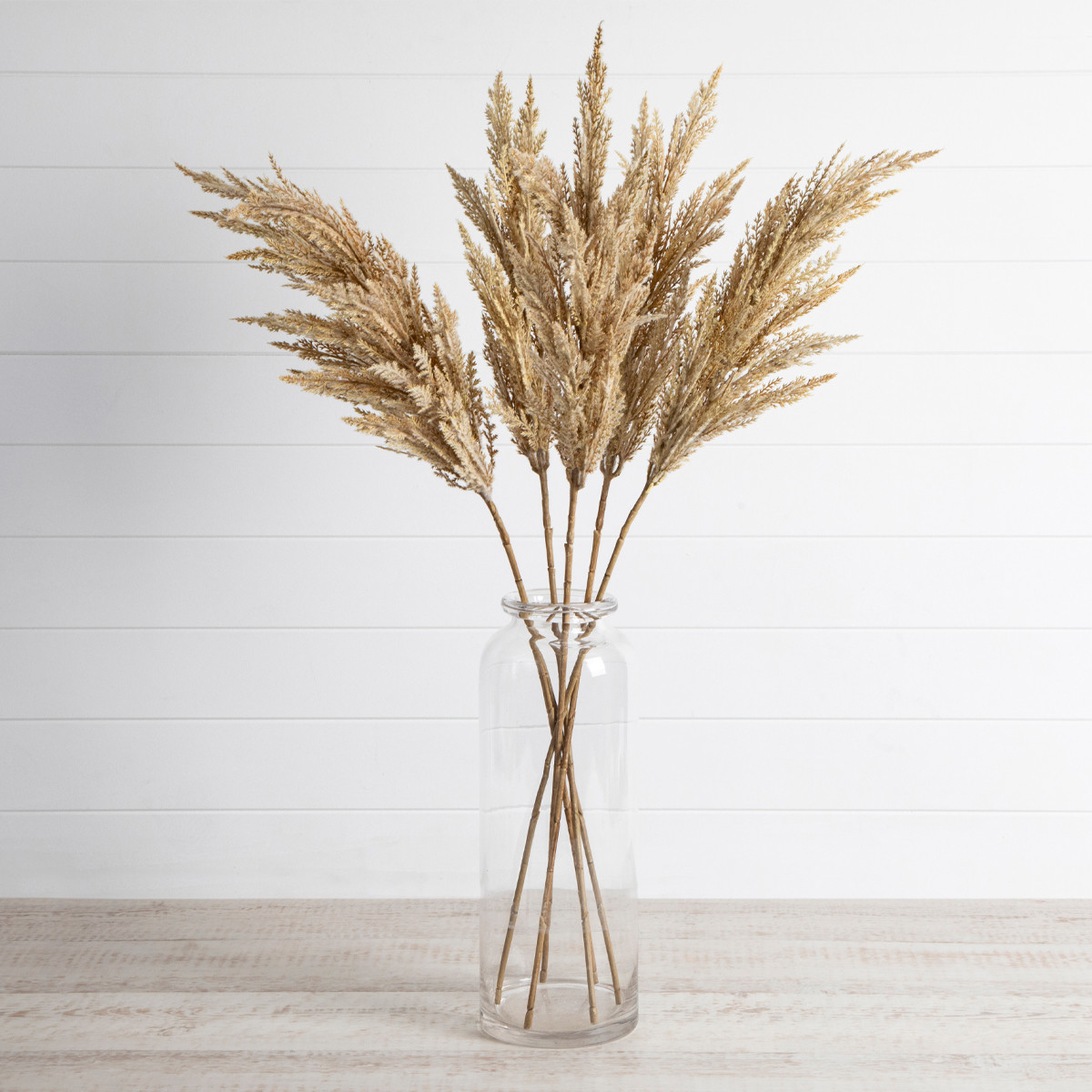 Rogue Pampas Grass Spray Natural Small by Rogue Style Sourcebook