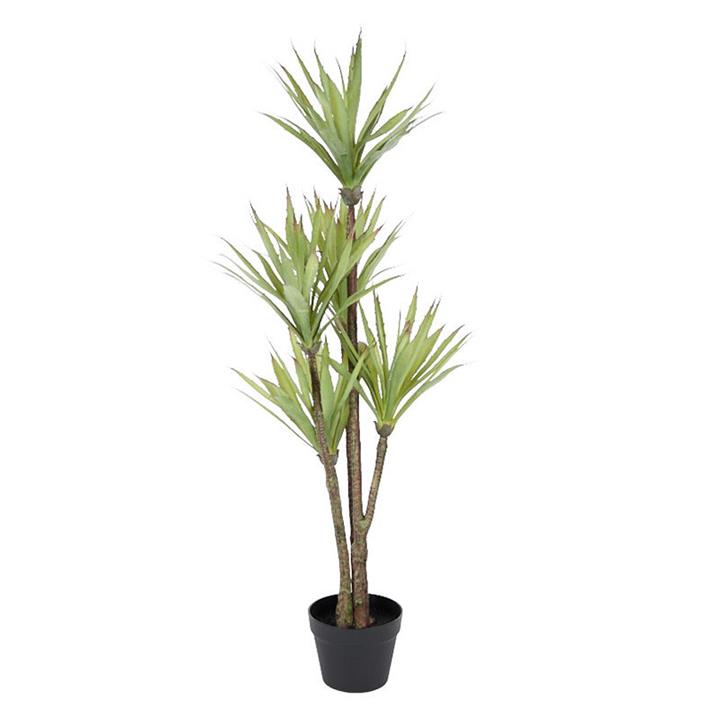 Sisal Tree in Pot (Artificial) in Green by Life Botanic by Life Botanic