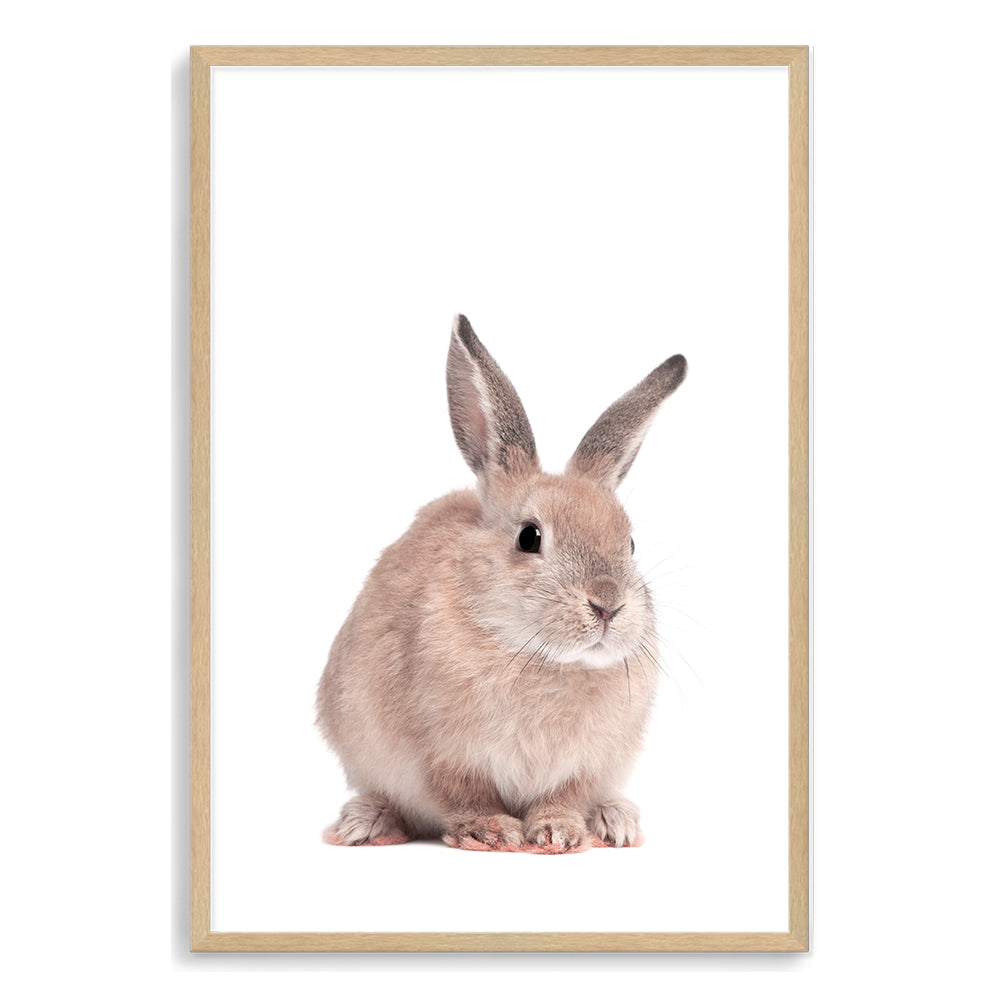 Baby Bunny Rabbit Wall Art Print or Canvas by Beautiful Home Decor