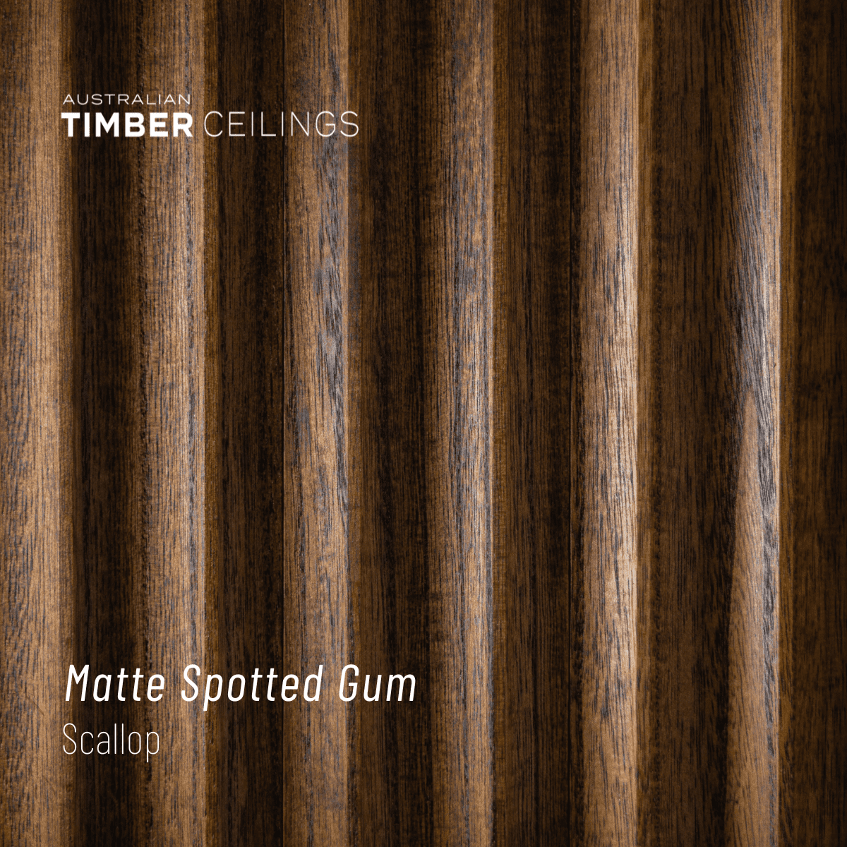 Scallop Matte Spotted Gum by Australian Timber Ceilings Style