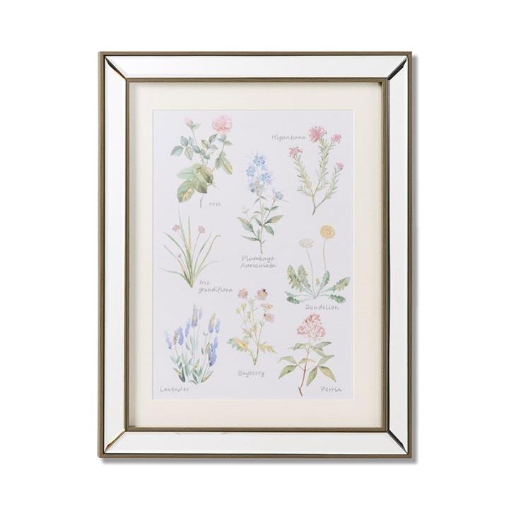 Adairs Botany Flowers Framed Wall Art Flowers by Adairs Style