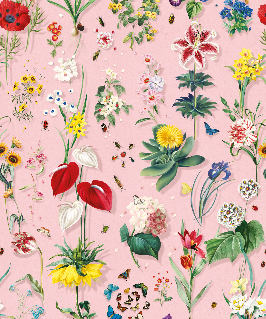 Jolie Wallpaper - Ribbon by Kingdom Home - Style Sourcebook