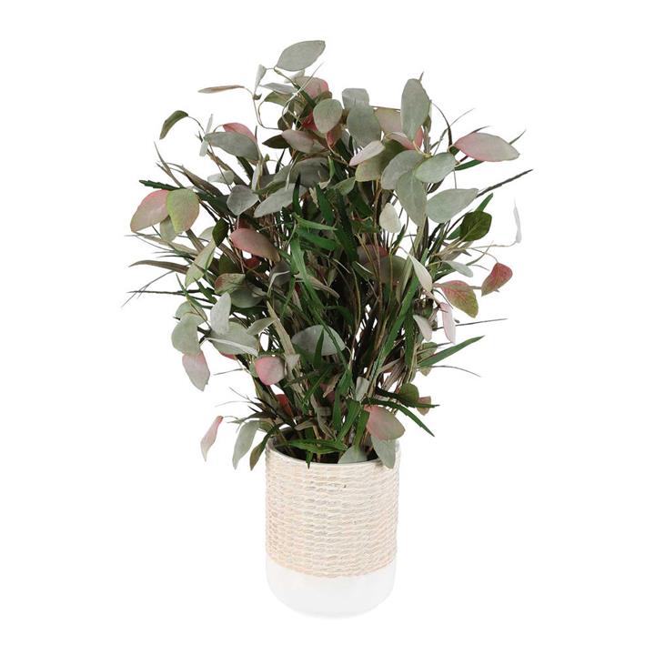 Nancy Artificial Eucalyptus & Grass Arrangement in Ceramic Pot by