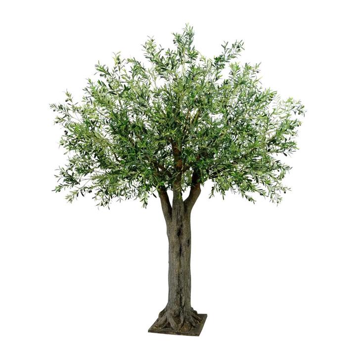 Exotica Giant Artificial Olive Tree, 250cm by Florabelle Style Sourcebook