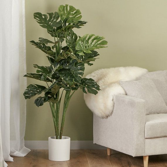 MONSTERA PLANT Faux Plant Green by Freedom by Freedom Style Sourcebook