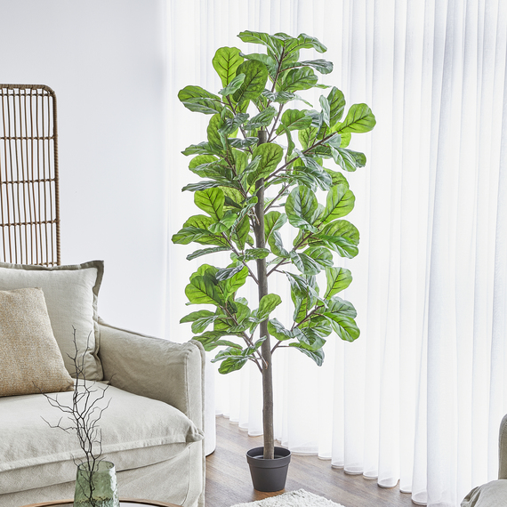 FIDDLE LEAF Artificial Plant Green by Freedom by Freedom Style Sourcebook
