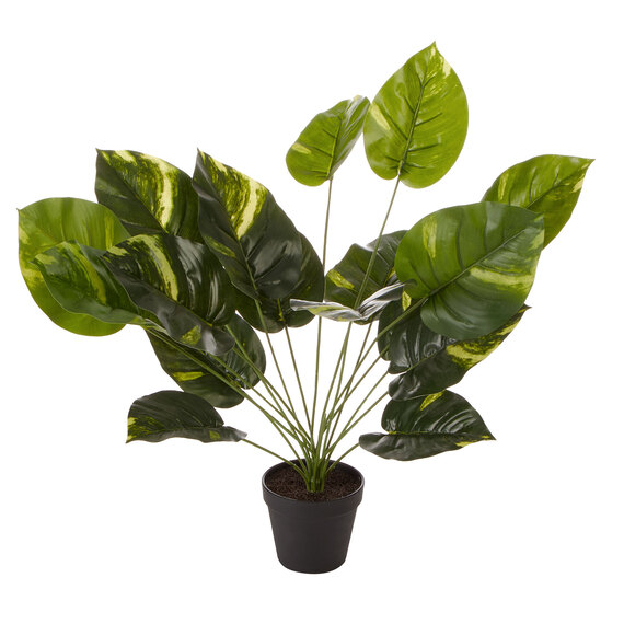 GOLDEN POTHOS PLANT Faux Plant Green by Freedom by Freedom Style Sourcebook