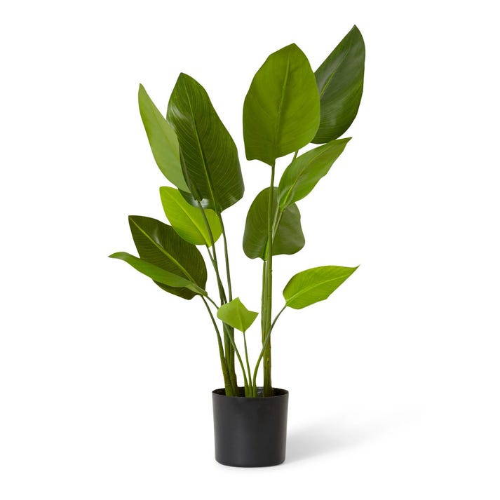 Bird of Paradise 40 x 40 x 60cm by Elme Living Style Sourcebook