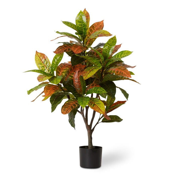 Croton Plant Potted 75 x 70 x 100cm by Elme Living Style Sourcebook