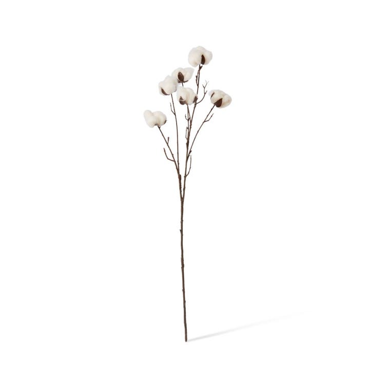 Cotton Stem 13 x 9 x 66cm by Elme Living Style Sourcebook