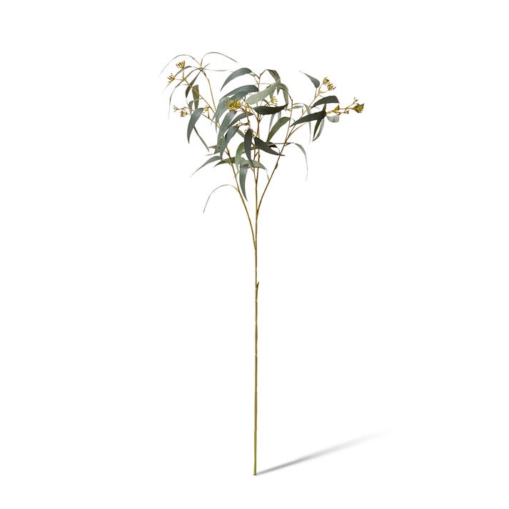 Eucalyptus Seeding Spray by Elme Living Style Sourcebook